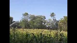 Sistemas De Riego Oaxaca