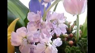 Arreglos Florales El Salvador