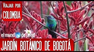 Diseño De Jardines Bogota Colombia
