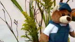Arreglos Florales Guayaquil