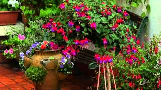 Diseño De Balcones Y Jardines
