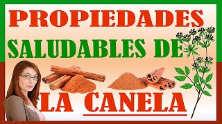 La Biblia De Las Plantas Medicinales Y Curativas