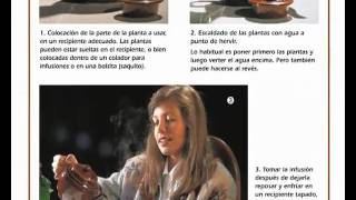 Plantas Curativas En La Biblia