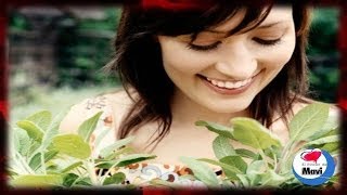 Plantas Curativas Y Sus Propiedades