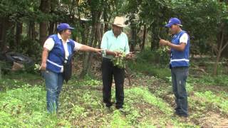 Huertos Familiares En Zacatecas