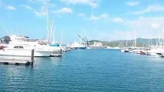 Arbustos Ornamentales De Flor Blanca