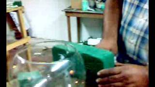 Arreglos Florales Queretaro