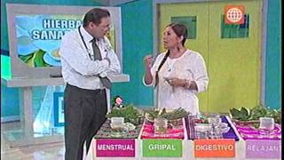 Plantas Curativas Del Peru