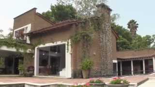 Arboles Frutales Mexico Venta