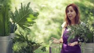 Arreglos Florales Houston