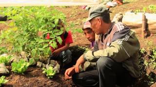 Proyectos De Huertos Familiares En Guatemala