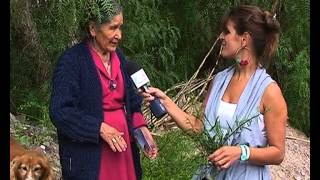 Plantas Curativas En Bolivia