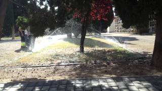 Sistemas De Riego Zaragoza
