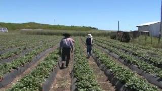 Sistemas De Riego La Plata