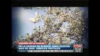 Arboles Frutales En Buenos Aires Facebook