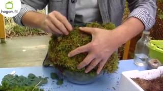 Tipos De Plantas Ornamentales De Guatemala