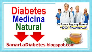 Plantas Curativas Para La Diabetes