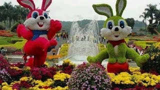 Arbustos Ornamentales Con Frutos Rojos