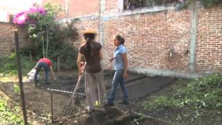 Huertos Familiares Y La Nutricion