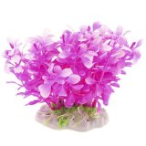 Nombre De 10 Plantas Ornamentales