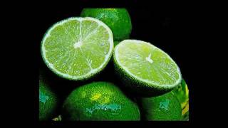 Plantas Curativas Y Sus Propiedades