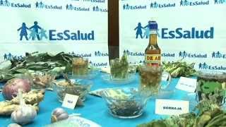 Plantas Curativas En La Biblia