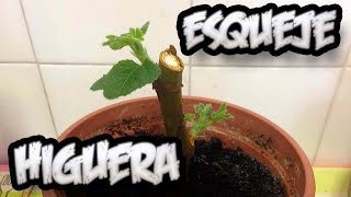 Como Hacer Un Huerto De Arboles Frutales