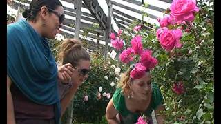 Diseño De Jardines Foro