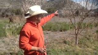 Arboles Frutales En Houston
