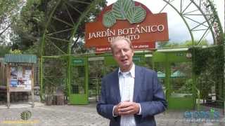 Decoracion De Jardines Quito