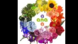 Arreglos Florales Buenos Aires