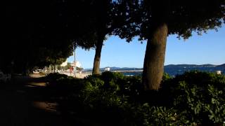 Arboles Frutales Que Dan Sombra