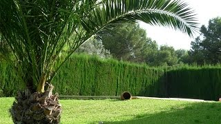 Decoracion De Jardines Queretaro