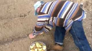 Manual Huertos Familiares 2010