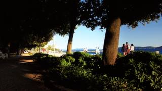 Arboles Frutales Que Dan Sombra