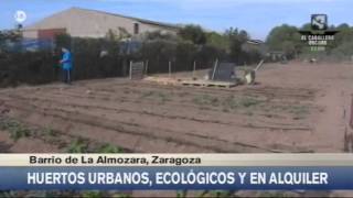 Huertos Familiares Zaragoza