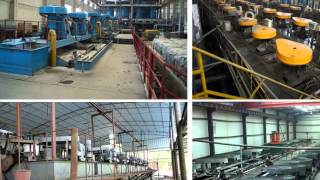 Arbustos Ornamentales Infojardin