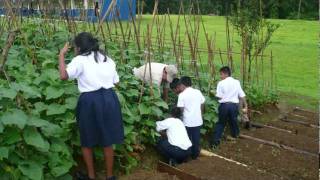Como Se Realizan Los Huertos Familiares