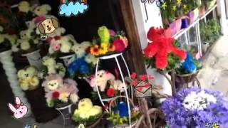 Arreglos Florales Oaxaca
