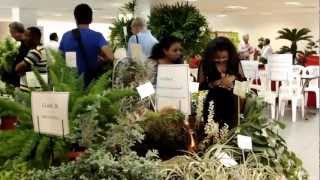 Plantas Ornamentales Guayaquil