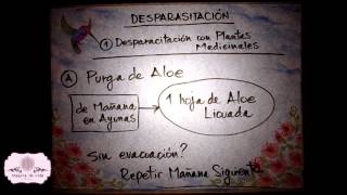 Definicion De Plantas Ornamentales Wikipedia