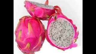 Arboles Frutales Exoticos Mexico