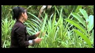 Arreglos Florales Costa Rica Cartago