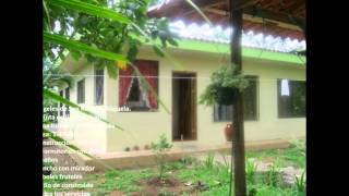 Arboles Frutales Los Angeles