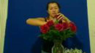 Arreglos Florales Orlando Florida