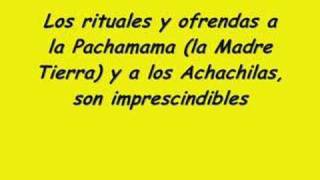 Plantas Curativas En Bolivia