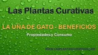 Plantas Curativas Cancer