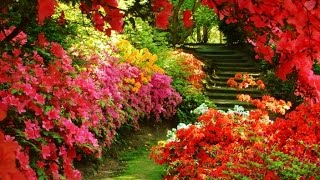 Decoracion De Jardines Revista Living