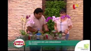 Importancia De Un Vivero De Plantas Ornamentales