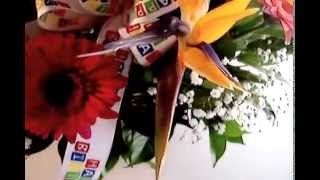 Arreglos Florales El Salvador